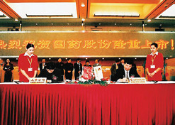 2002年11月，国药股份在上海证券交易所上市